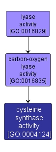 GO:0004124 - cysteine synthase activity (interactive image map)