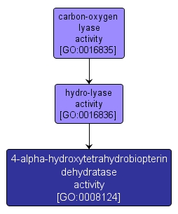 GO:0008124 - 4-alpha-hydroxytetrahydrobiopterin dehydratase activity (interactive image map)