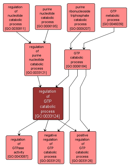 GO:0033124 - regulation of GTP catabolic process (interactive image map)