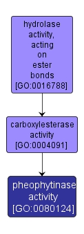 GO:0080124 - pheophytinase activity (interactive image map)