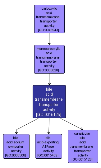 GO:0015125 - bile acid transmembrane transporter activity (interactive image map)
