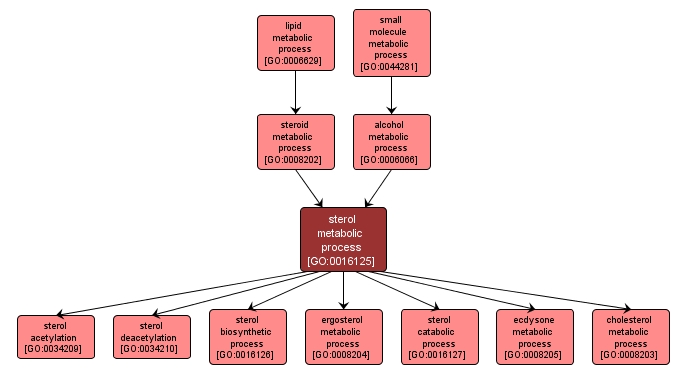 GO:0016125 - sterol metabolic process (interactive image map)