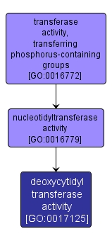 GO:0017125 - deoxycytidyl transferase activity (interactive image map)