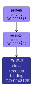 GO:0043125 - ErbB-3 class receptor binding (interactive image map)
