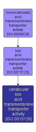 GO:0015126 - canalicular bile acid transmembrane transporter activity (interactive image map)