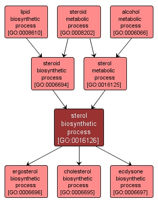 GO:0016126 - sterol biosynthetic process (interactive image map)