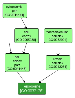 GO:0032126 - eisosome (interactive image map)