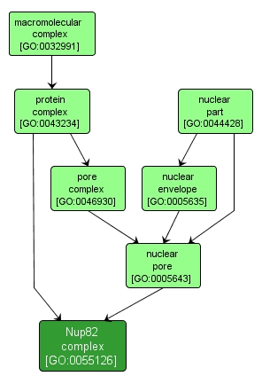 GO:0055126 - Nup82 complex (interactive image map)