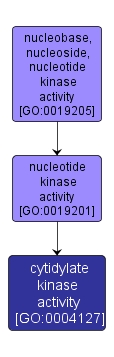 GO:0004127 - cytidylate kinase activity (interactive image map)