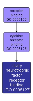 GO:0005127 - ciliary neurotrophic factor receptor binding (interactive image map)