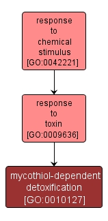GO:0010127 - mycothiol-dependent detoxification (interactive image map)