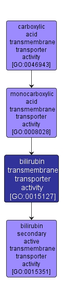 GO:0015127 - bilirubin transmembrane transporter activity (interactive image map)