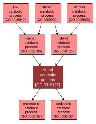 GO:0016127 - sterol catabolic process (interactive image map)
