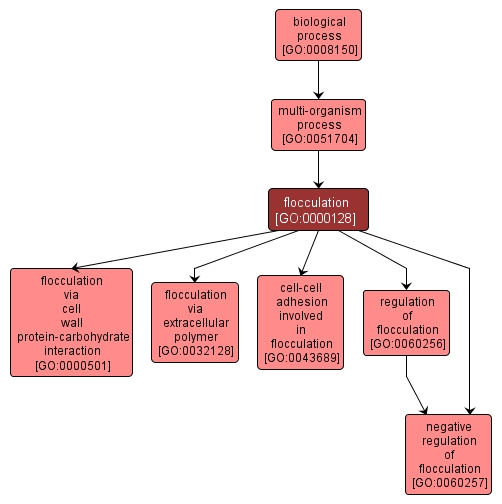 GO:0000128 - flocculation (interactive image map)