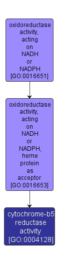 GO:0004128 - cytochrome-b5 reductase activity (interactive image map)