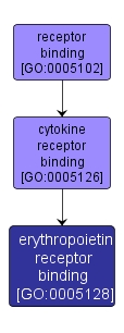 GO:0005128 - erythropoietin receptor binding (interactive image map)