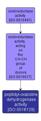 GO:0018129 - peptidyl-oxazoline dehydrogenase activity (interactive image map)