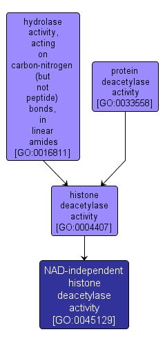 GO:0045129 - NAD-independent histone deacetylase activity (interactive image map)