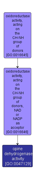 GO:0047129 - opine dehydrogenase activity (interactive image map)