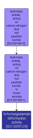 GO:0050129 - N-formylglutamate deformylase activity (interactive image map)