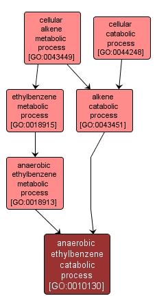 GO:0010130 - anaerobic ethylbenzene catabolic process (interactive image map)