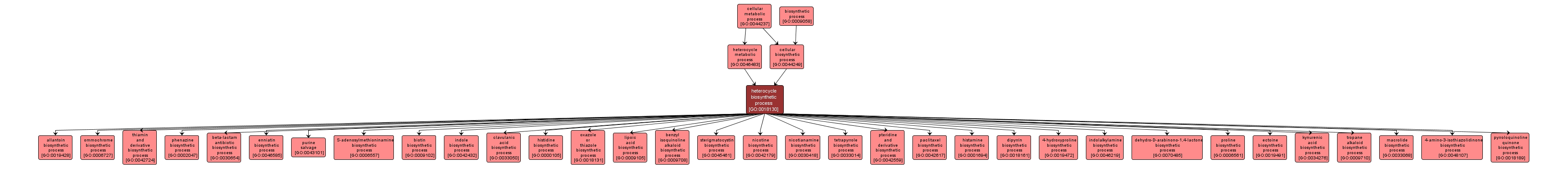 GO:0018130 - heterocycle biosynthetic process (interactive image map)