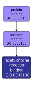 GO:0033130 - acetylcholine receptor binding (interactive image map)