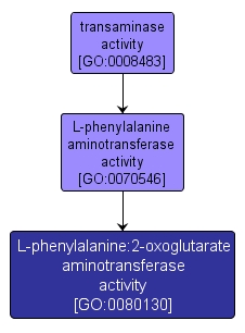 GO:0080130 - L-phenylalanine:2-oxoglutarate aminotransferase activity (interactive image map)