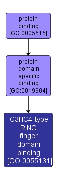 GO:0055131 - C3HC4-type RING finger domain binding (interactive image map)