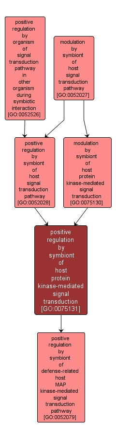 GO:0075131 - positive regulation by symbiont of host protein kinase-mediated signal transduction (interactive image map)