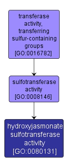 GO:0080131 - hydroxyjasmonate sulfotransferase activity (interactive image map)