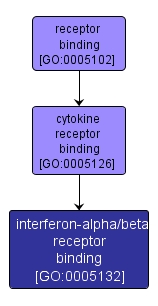 GO:0005132 - interferon-alpha/beta receptor binding (interactive image map)