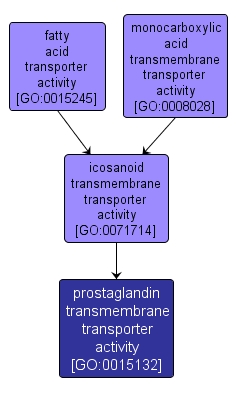 GO:0015132 - prostaglandin transmembrane transporter activity (interactive image map)