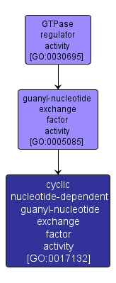 GO:0017132 - cyclic nucleotide-dependent guanyl-nucleotide exchange factor activity (interactive image map)