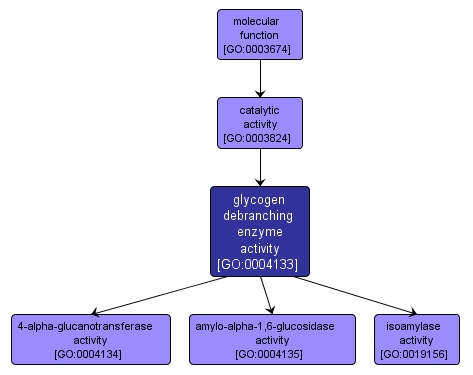 GO:0004133 - glycogen debranching enzyme activity (interactive image map)