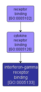 GO:0005133 - interferon-gamma receptor binding (interactive image map)