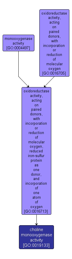GO:0019133 - choline monooxygenase activity (interactive image map)