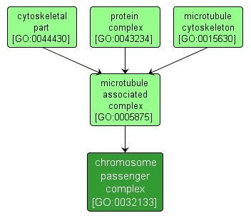 GO:0032133 - chromosome passenger complex (interactive image map)