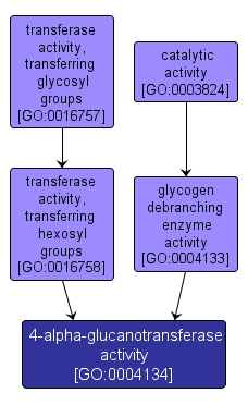 GO:0004134 - 4-alpha-glucanotransferase activity (interactive image map)