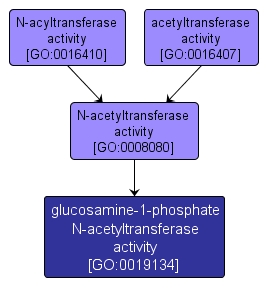 GO:0019134 - glucosamine-1-phosphate N-acetyltransferase activity (interactive image map)