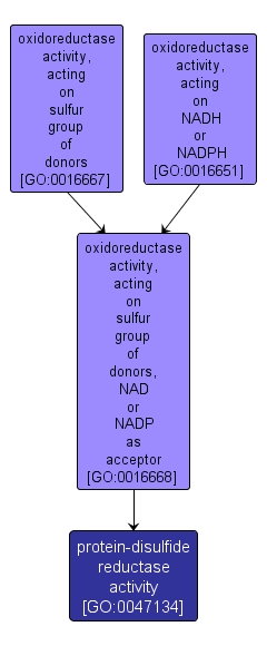 GO:0047134 - protein-disulfide reductase activity (interactive image map)