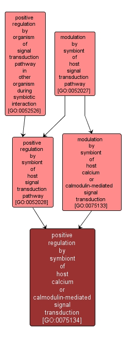 GO:0075134 - positive regulation by symbiont of host calcium or calmodulin-mediated signal transduction (interactive image map)