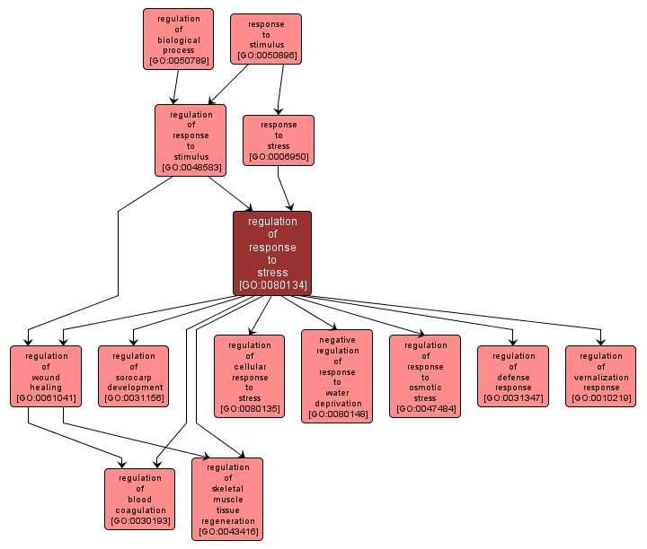 GO:0080134 - regulation of response to stress (interactive image map)