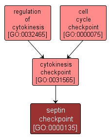 GO:0000135 - septin checkpoint (interactive image map)
