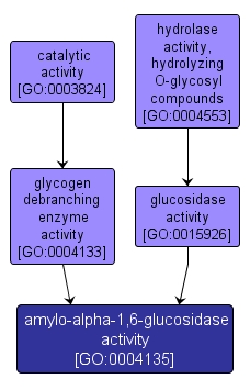GO:0004135 - amylo-alpha-1,6-glucosidase activity (interactive image map)