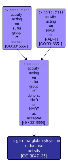 GO:0047135 - bis-gamma-glutamylcystine reductase activity (interactive image map)