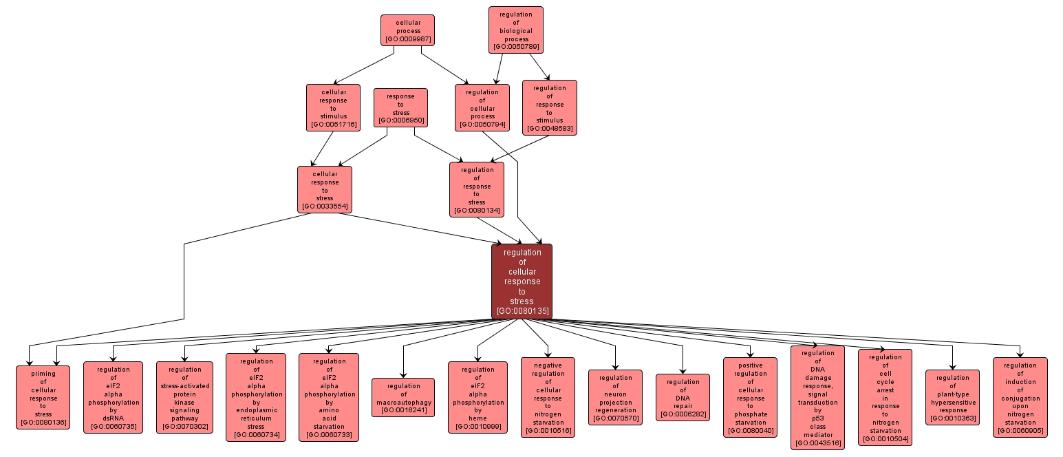 GO:0080135 - regulation of cellular response to stress (interactive image map)