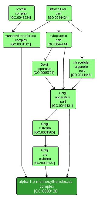 GO:0000136 - alpha-1,6-mannosyltransferase complex (interactive image map)