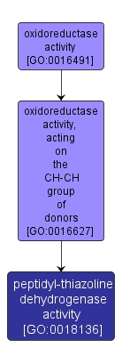 GO:0018136 - peptidyl-thiazoline dehydrogenase activity (interactive image map)