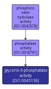 GO:0043136 - glycerol-3-phosphatase activity (interactive image map)